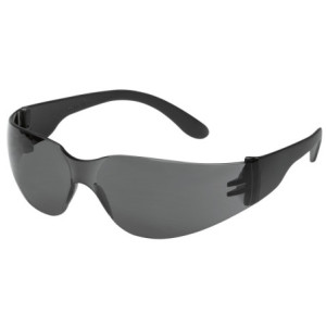 CHAMP TECTOR®-SCHUTZBRILLE