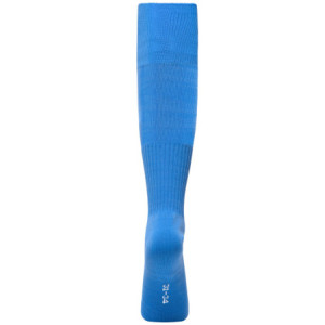 James & Nicholson Team Socks cobalt